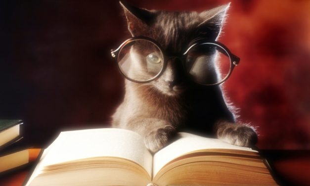 Festa nazionale del Gatto: consigli di lettura
