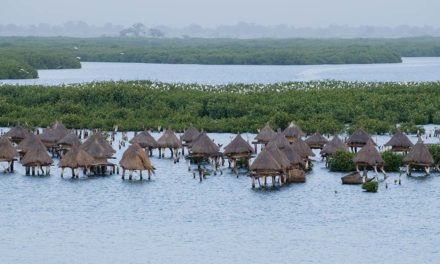 L’isola delle conchiglie in Senegal