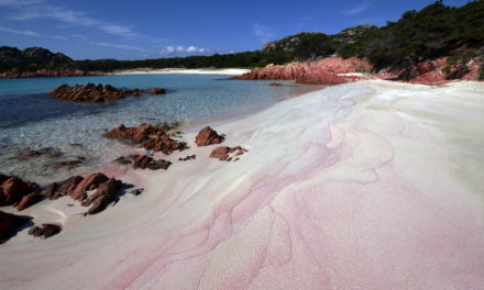 la spiaggia rosa in sardegna