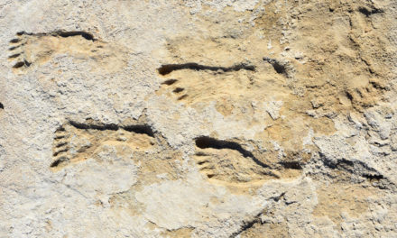 Impronte umane di 23000 anni fa scoperte in Nord America